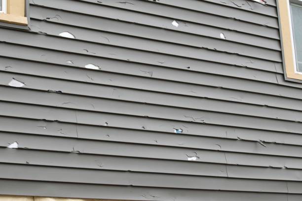 How To Choose The Right Materials for Your Siding Installation in 'Spring Creek, NV